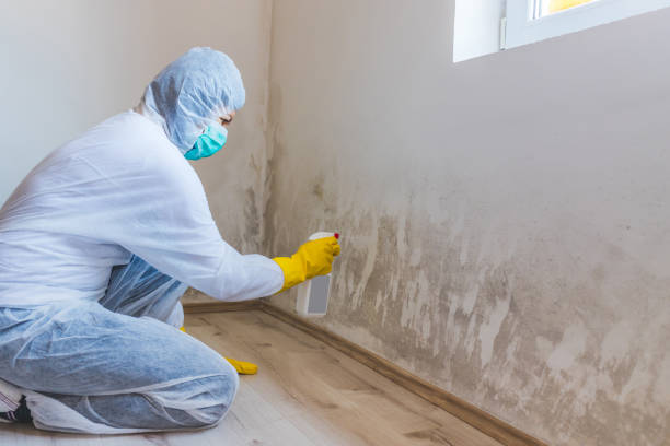 Licensed Commercial Mold Remediation service in Cape Coral, FL - WQB Mold Removal
