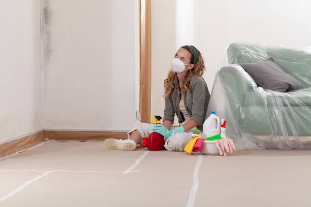 Reliable Commercial Mold Remediation contractor in Cape Coral, FL by WQB Mold Removal